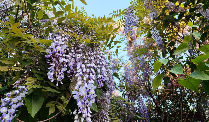 Прогноз погоди в Україні на 18 травня 2024 року