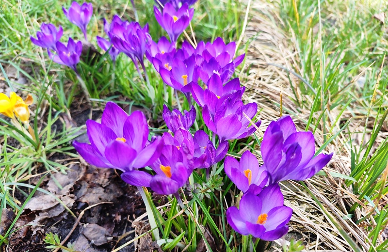 Прогноз погоди в Україні на 3 квітня 2026 року