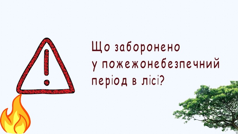 What is forbidden during the fire season in the forest?