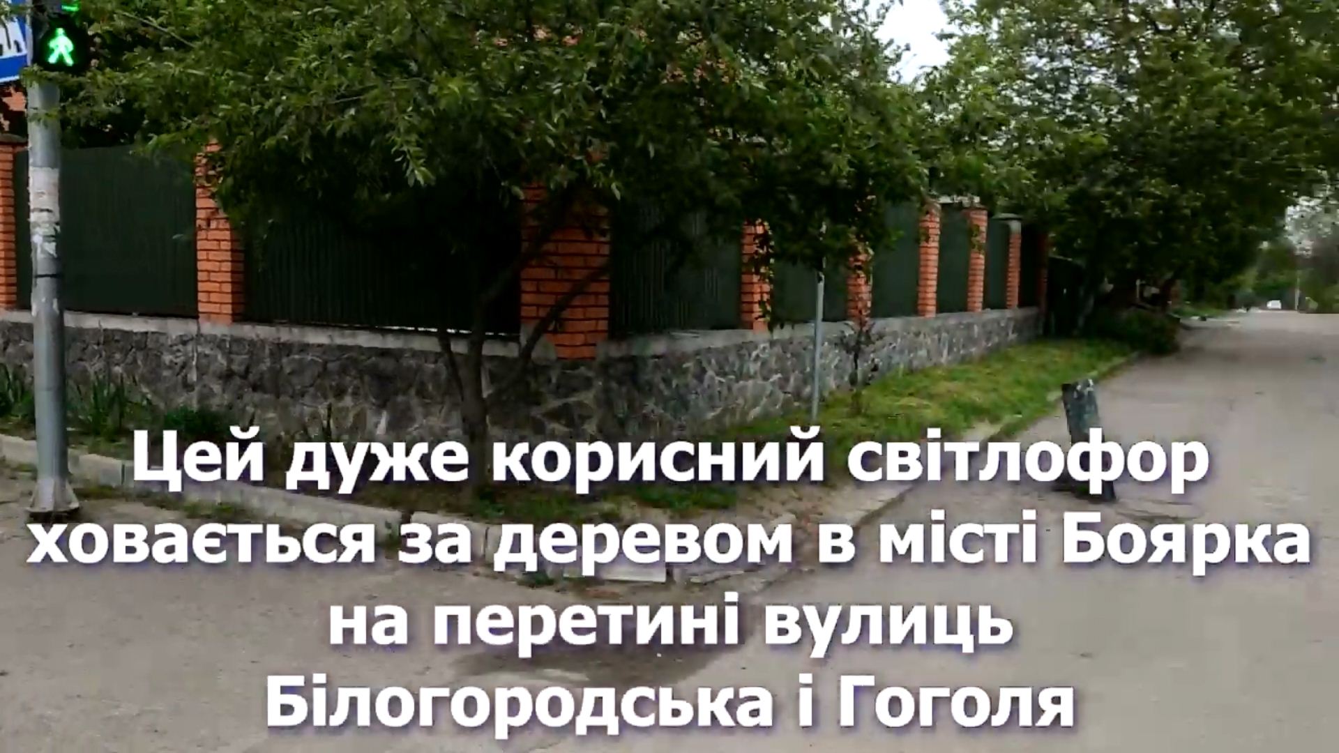 Useful traffic light Boyarka